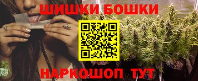 крисы Нальчик
