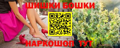крисы Нальчик